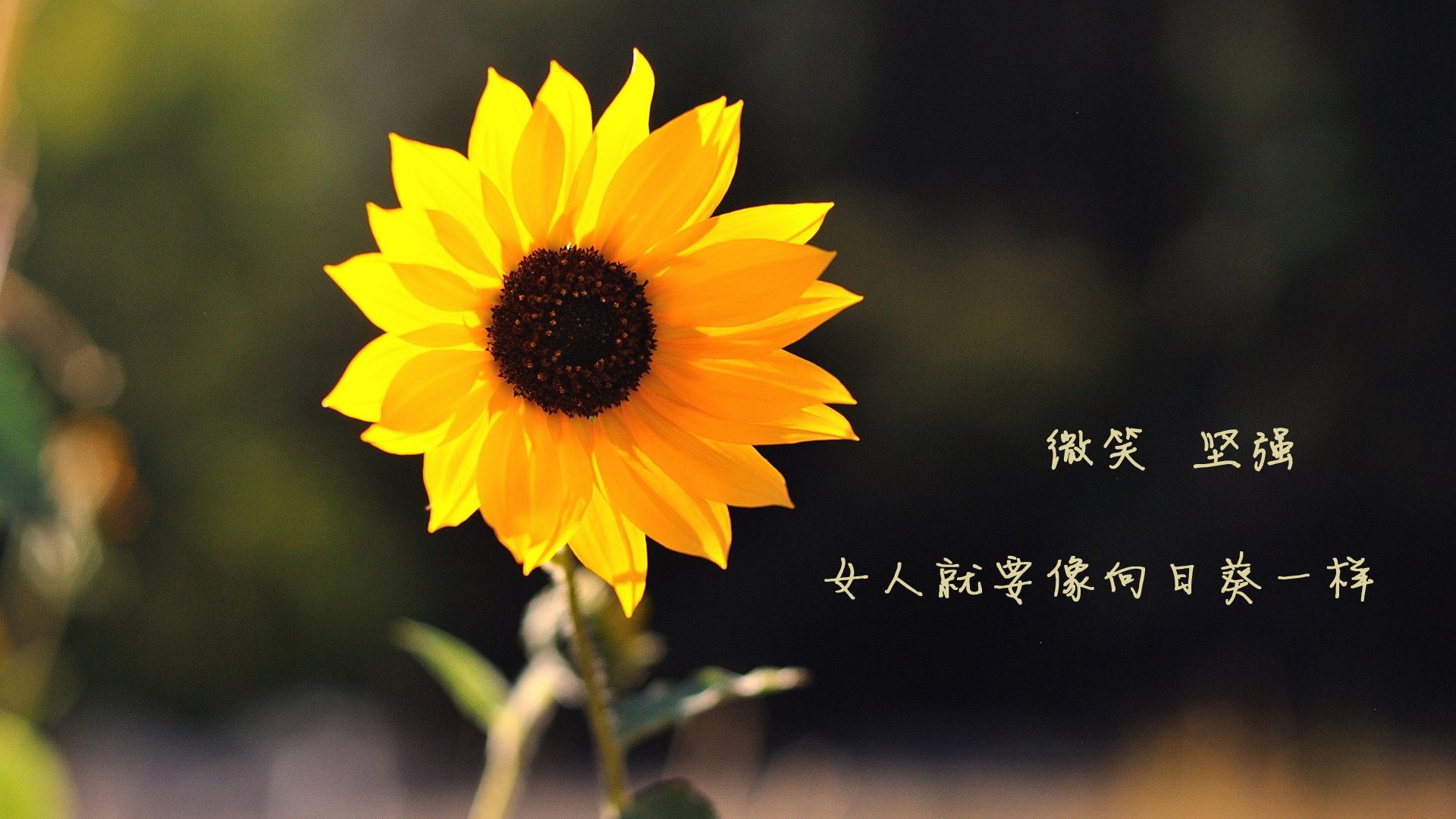 开云kaiyun-亚洲顶级俱乐部加强青训体系建设，亚洲俱乐部冠军联赛