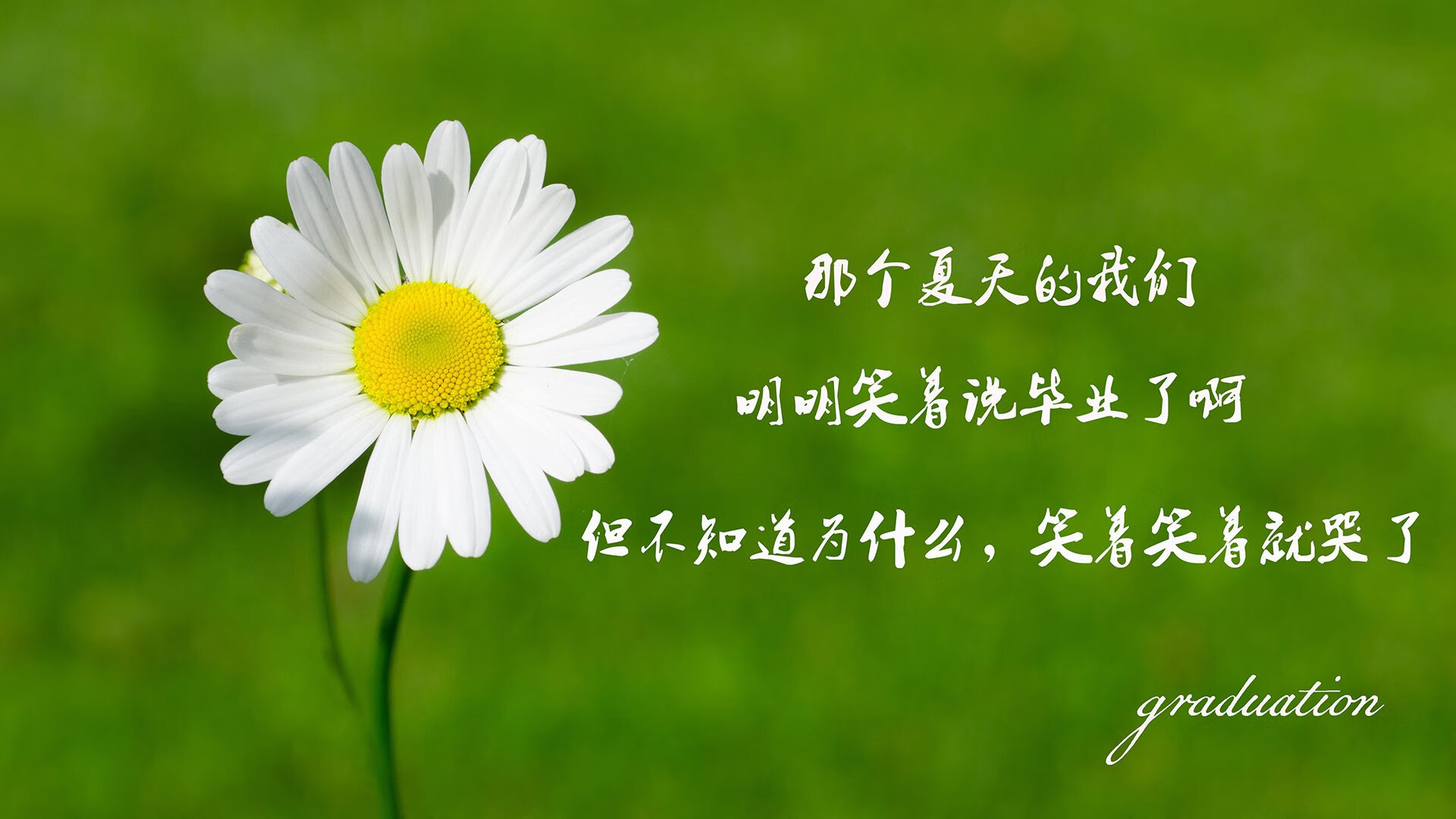 莱加内斯不敌塞维利亚，遭遇失利，莱加内斯球员名单