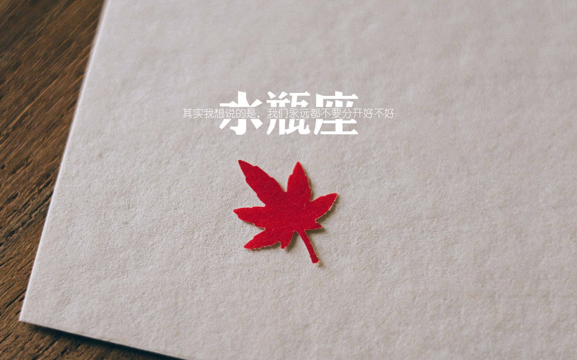 校园体育活动组织创新与实践研究，体育学院活动的创新点子