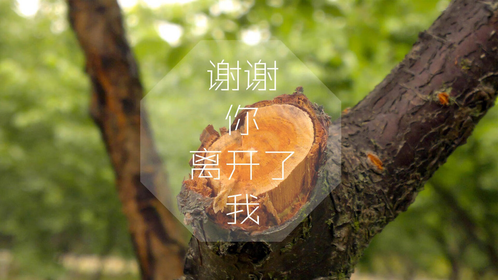 中国男篮提升应对高强度防守能力，中国男篮身体对抗
