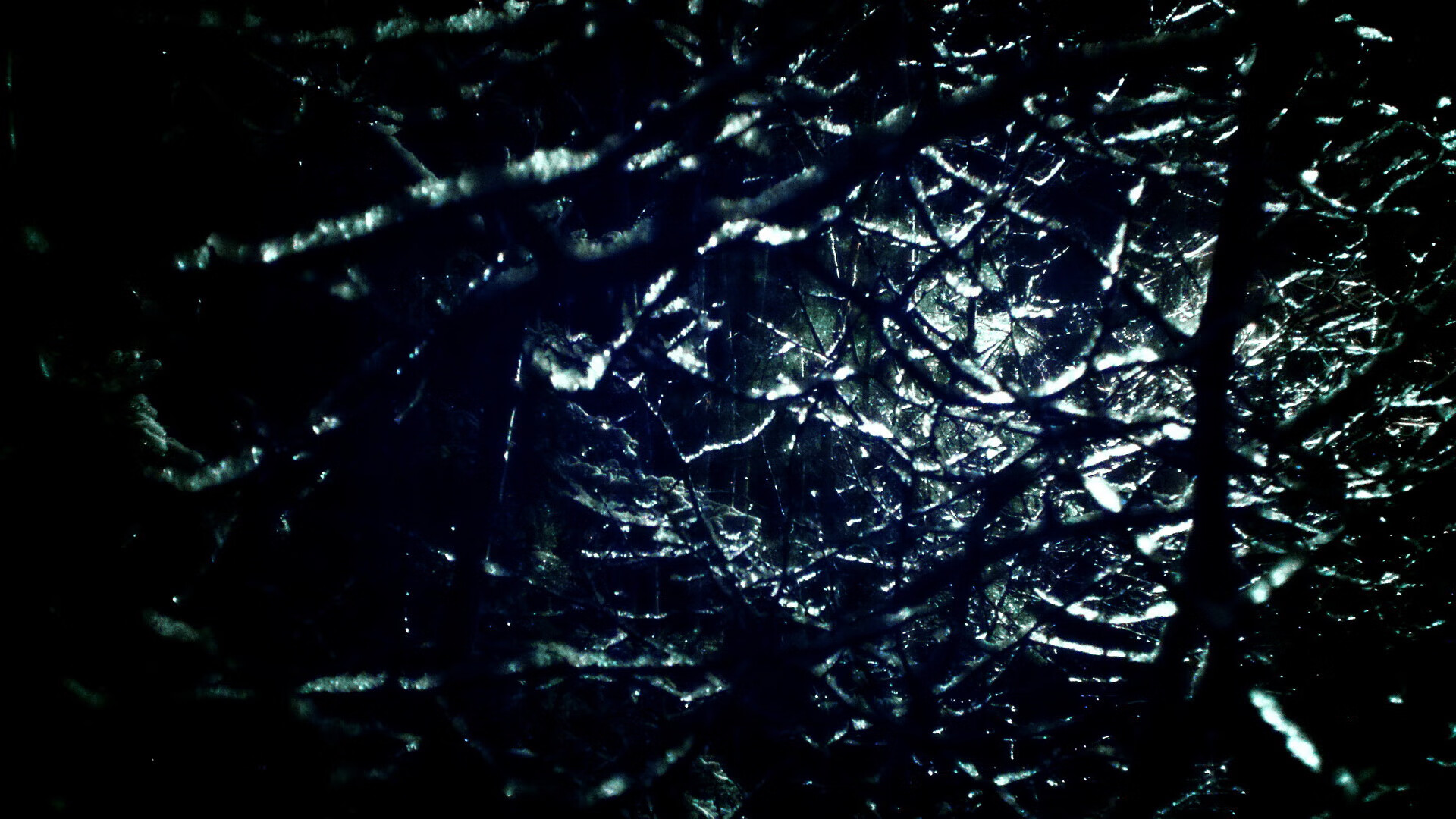 苏格兰橄榄球重建期,年轻球员逐步担当重任,苏格兰球是什么运动