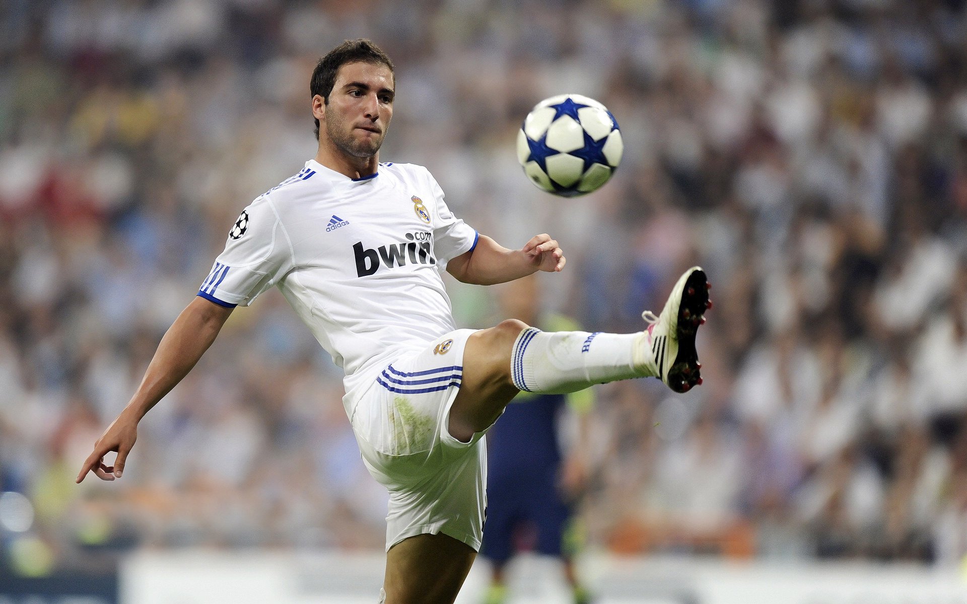 Kaiyun(中国)开云-未来“欧洲霸主”潜力股：谁能夺冠问鼎？，欧洲有未来吗